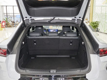 2025 L EV { 550km ׿Խ