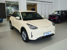 2025 Ը 310km 