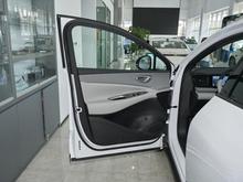 2026�� ��ʨ06 DM-i 310Զ����